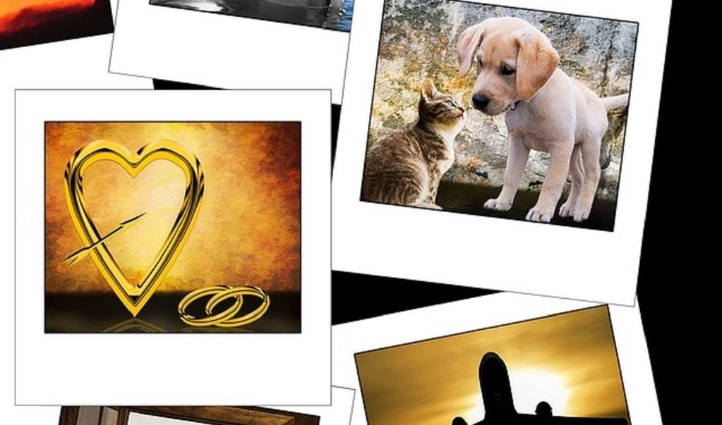 Photography tips for documenting your collection